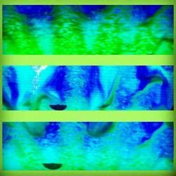 Moemeatproductions Carwash Porn Photo Pics