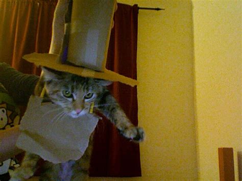 Amateur Photos 2164 Excitedpics7190 17313 Porn Pic