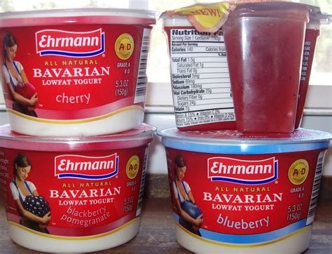 Ehrmann Bavarian Yogurt Review | The Nutritionist Reviews