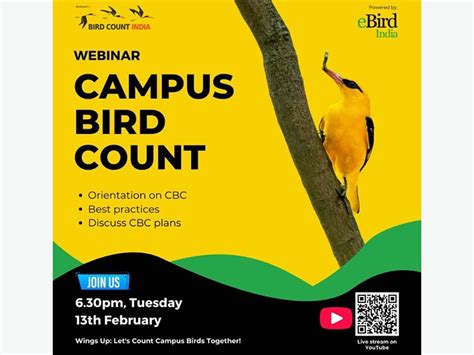 Webinar: Campus Bird Count 2024 - Bird Alliance