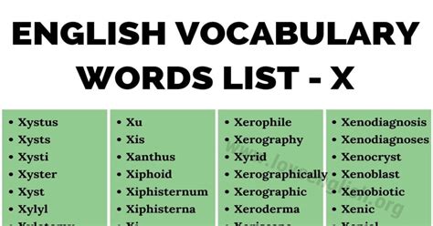 115 Words That Start With X Words Starting With X In English Love