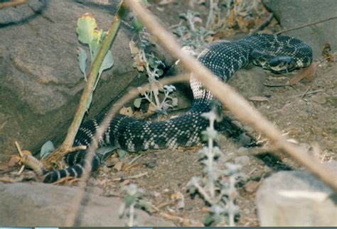 About TIAPL Education Association - TIAPL Education AssociationT.I.A.P