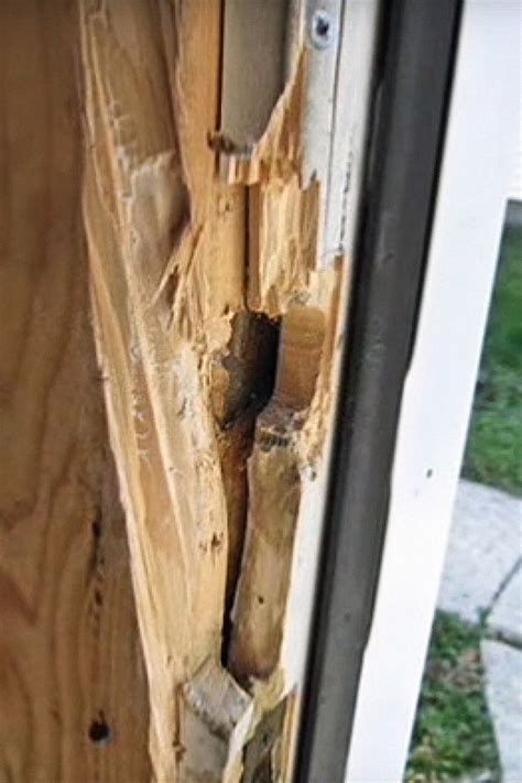 Home Security Upgrade: Front Door Reinforcement | RECOIL OFFGRID