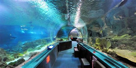 Underwater World Langkawi Tickets 2024 | Book TicketsToDo Online