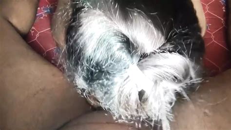 Free Indian Sex Porn Videos 380 XHamster