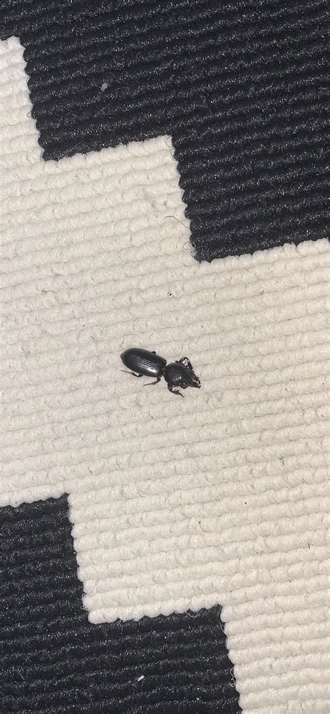 This open house nyc event has a surprising location 6