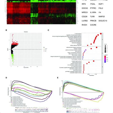 Differential Expressed Genes And Gene Set Enrichment Analysis Gsea