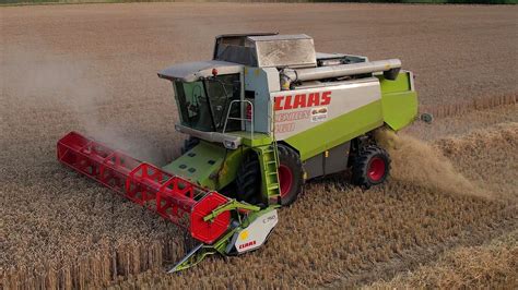 Tarwe Dorsen Wheat Harvest Weizen Dreschen Claas Lexion