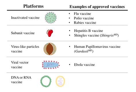 WORLD: WHO has 202 vaccine candidates. Here's where they stand in the ...