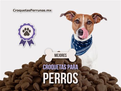 Mejores Croquetas Para Perro De 2023