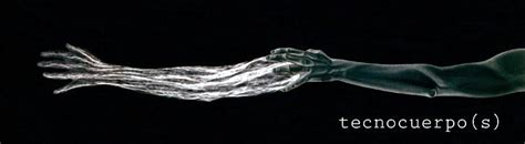 Tecnocuerpo S Hombre Verdadero Con Vagina Verdadera