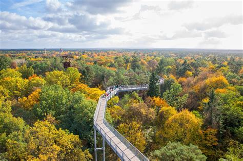 Beelitz, Germany 2023: Best Places to Visit - Tripadvisor