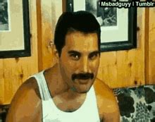 Freddie Mercury Meme Yes