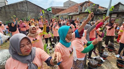 Mak Ganjar Bagi Ratusan Pohon Cabai Di Cilincing Ketahanan Pangan