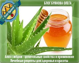 Что лечит алоэ с мёдом-польза, лечебные свойства, применение в ...