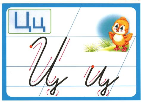 Картинки буква ц (55 фото) - 55 фото