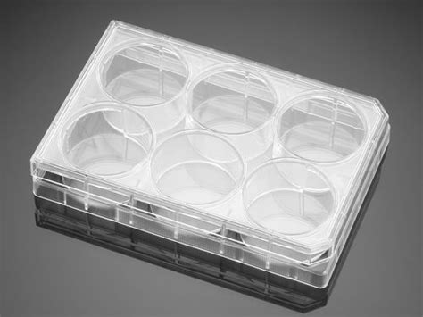 Microplate For Life Sciences Applications 353224 Corning BV