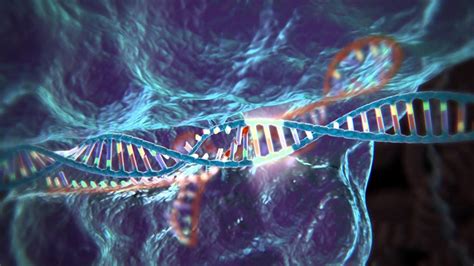 CRISPR La herramienta de edición genética que está revolucionando la