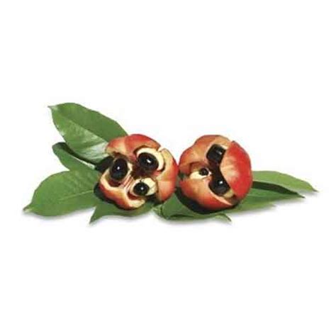 Ackee fruit | Nutrition facts-Ackee fruit | Health benefits