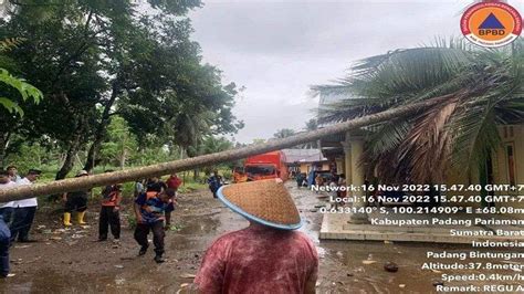 Akibat Angin Puting Beliung Pohon Kelapa Tumbang Timpa Rumah Warga Di