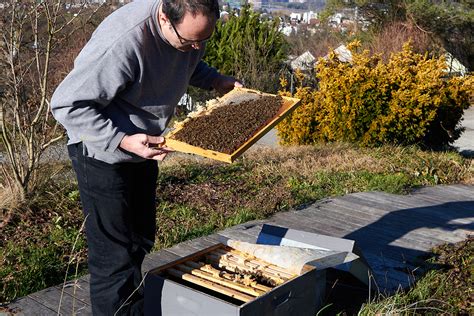 Arbeiten Nach Der 2 Sommerbehandlung Bienen Ch Alles Rund Um