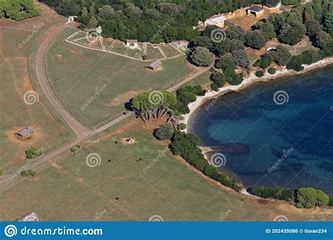 Aerial View Of Brijuni National Park Stock Photo Image Of Istra Bush