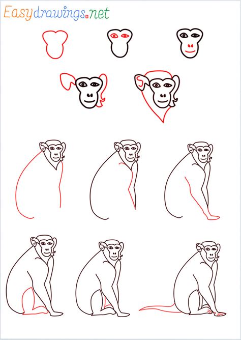 Monkey Drawing Step By Step