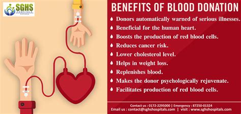 Is Drinking Alcohol After Donating Blood Safe or Should You Wait It Out 7