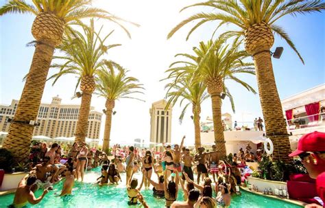 Drai S Beach Club Las Vegas Insider S Guide Discotech The 1