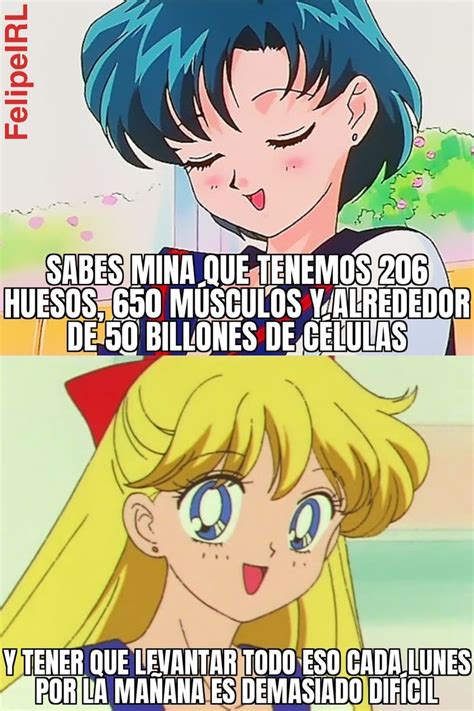 Cierto Mina Imágenes graciosas Sailor moon Chistes graciosos