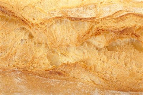 Bread Texture Royalty Free Stock Photos Image 19543208