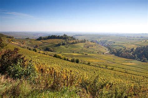 Weingut Konomierat Rebholz Handelsagentur