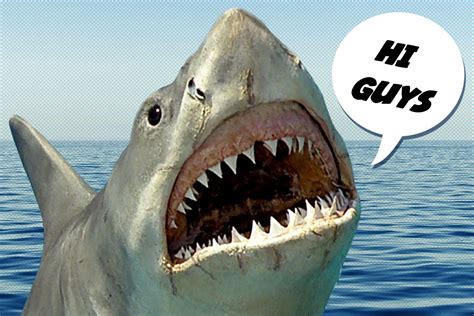 ‘Jaws’: In Defense of the Shark | Decider