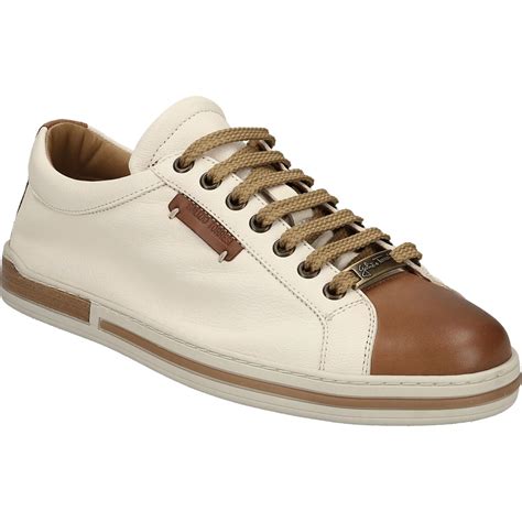 Galizio Torresi 440908 V18520 Herrenschuhe Schnürschuhe im Schuhe Lüke ...