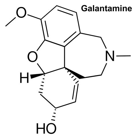 Galantamine Galantamine Hydrobromide Function Uses And Side Effects