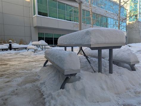 Calgary Digs Out Of Record Setting Snowstorm As Bus Route Detours Stay