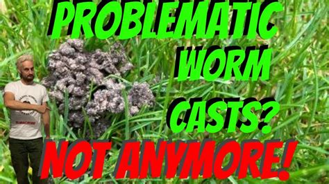 How To Stop Worm Casts Ruining Your New Lawn Youtube