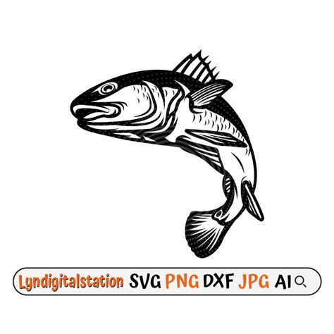 Red Drum Fish Svg Fishing Life Clipart River Fishing Cut File Angling