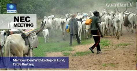 Governors Seek Audit Of Ecological Fund Spending Guardiantv