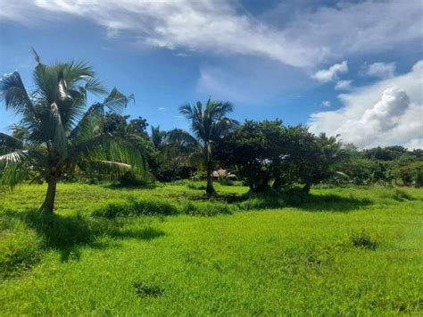 10 Hectares Agricultural Lot For Sale At Cabusao Camarines Sur