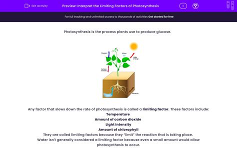 Interpret The Limiting Factors Of Photosynthesis Worksheet Edplace