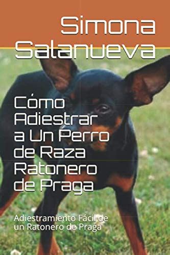 Cómo Adiestrar a Un Perro de Raza Ratonero de Praga Adiestramiento