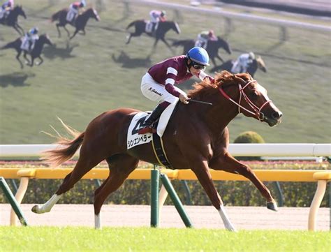 【新馬戦】シンエンペラー 3馬身差の快勝 20年凱旋門賞馬全弟の超良血馬うま屋デイリースポーツ Online