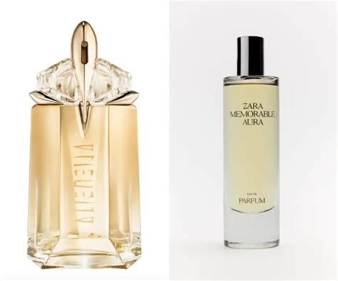 Best Zara Perfumes For Women Irresistible Scents Grooming Wise