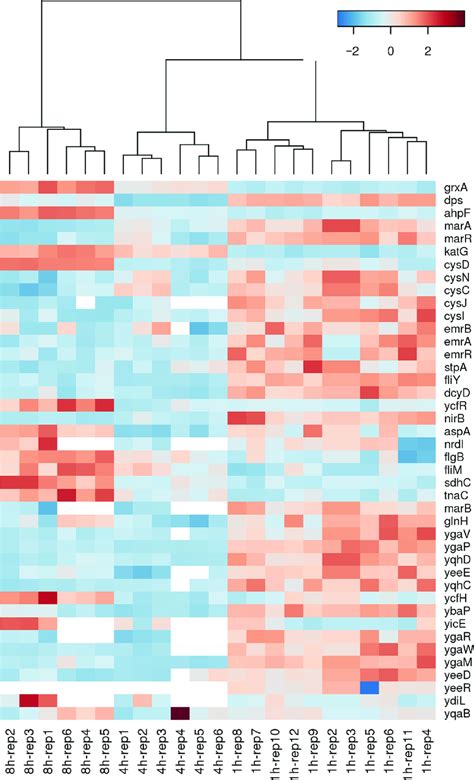 Figure Heat Map Generated Via Hierarchical Clustering Analysis Showing Download Scientific