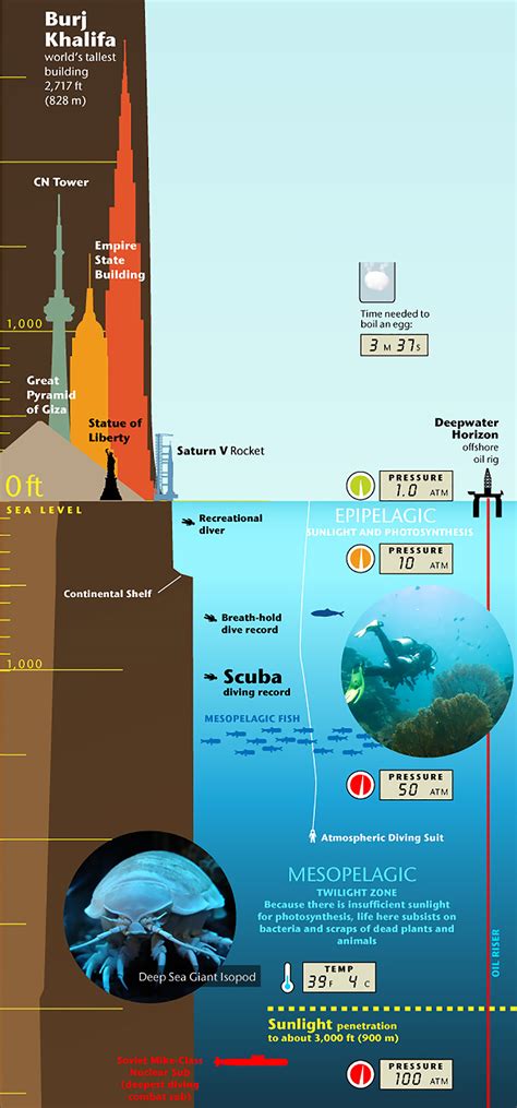 Infographic Mountain Elevation And Ocean Depth Recoil Offgrid