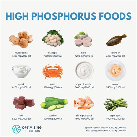 Top Phosphorus Rich Foods for Strong Bones and Energy | Optimising ...