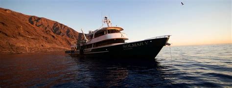 Solmar V DEMA Special 2022: Get $500 Off On Trips! - Bluewater Dive Travel