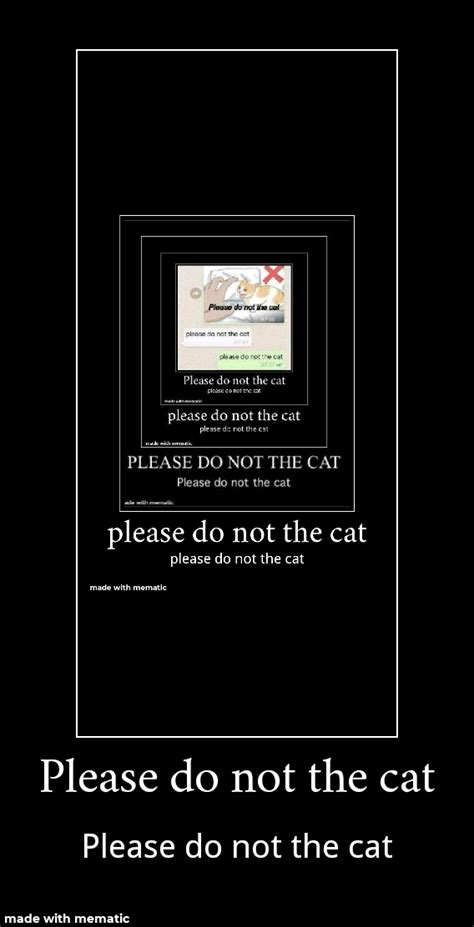 Please Do Not The Cat Memes