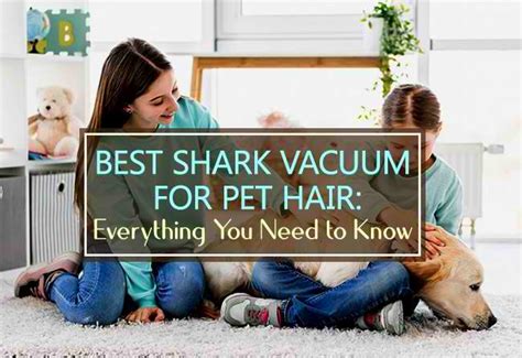 Best Shark Vacuum For Pet Hair: Everything You Need to Know